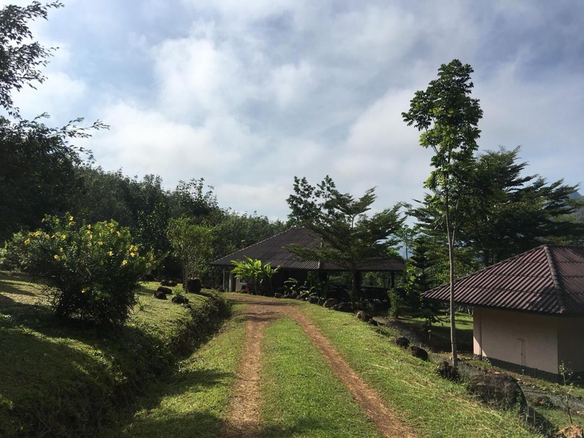 Khao Sok Hill Top Resort Khao Sok National Park Exterior foto